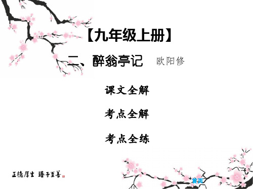 中考课内文言文专题复习语文课件：9上二醉翁亭记(共58张PPT)