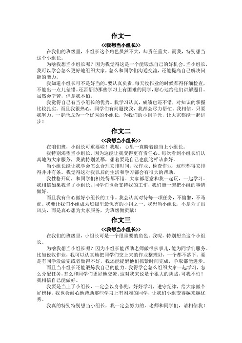 我想当小组长作文350字的