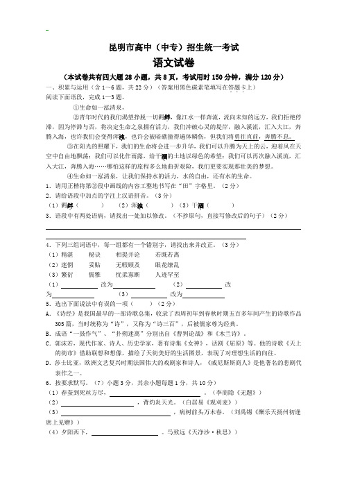 云南省昆明市中考语文试题及答案