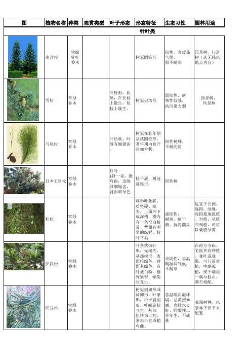 针叶类,常绿阔叶类,落叶阔叶类