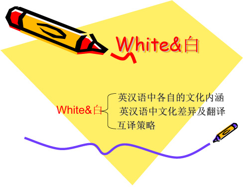 white的中英内涵