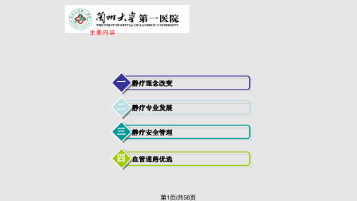 静脉治疗新理念及血管通路优选PPT课件