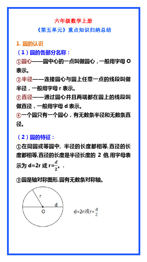 六年级数学上册《第五单元》知识归纳总结,学习必备