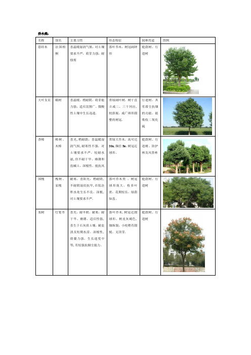 商洛绿化适用植物