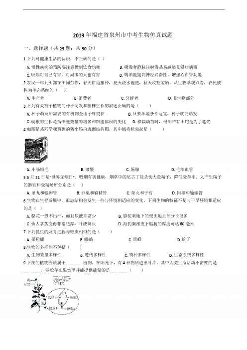 2019年福建省泉州市中考生物仿真试题含答案