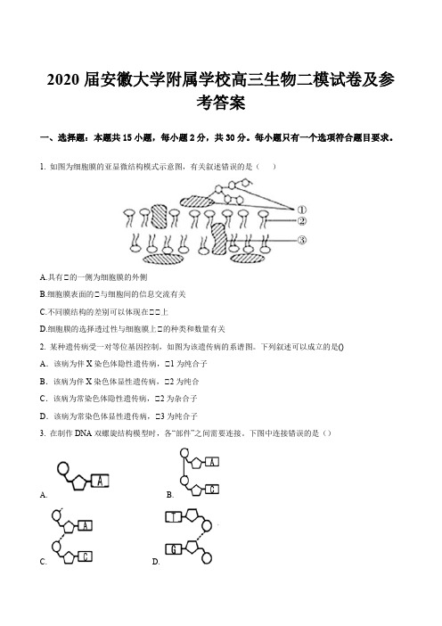 2020届安徽大学附属学校高三生物二模试卷及参考答案