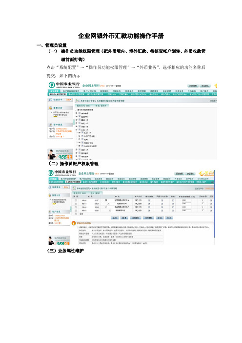 农行企业网银外币汇款功能客户端操作手册汇总