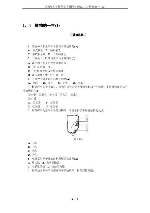 浙教版七年级科学下册同步测试：1.4 植物的一生(1)