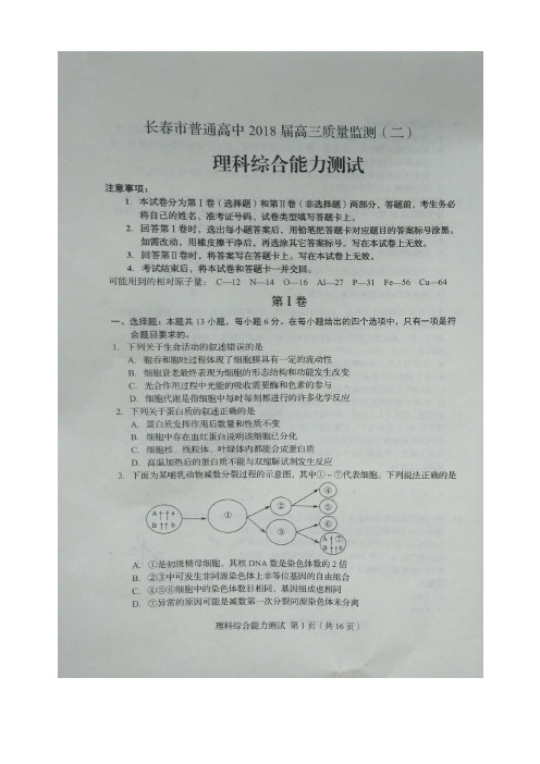 2018届吉林省长春市普通高中高三质量监测(二)理科综合试题扫描版含答案