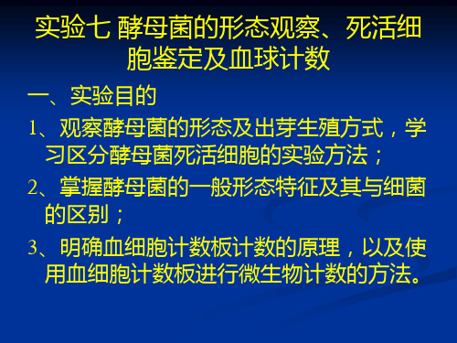 实验七 酵母菌的形态观察、死活细胞鉴定及血球计数法