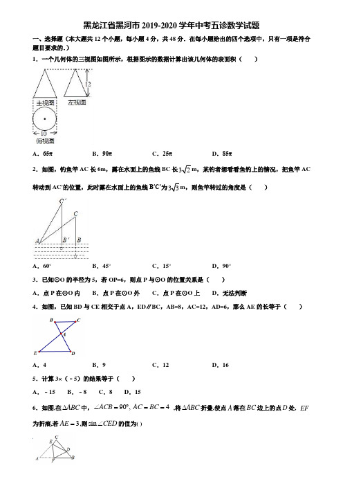 黑龙江省黑河市2019-2020学年中考五诊数学试题含解析