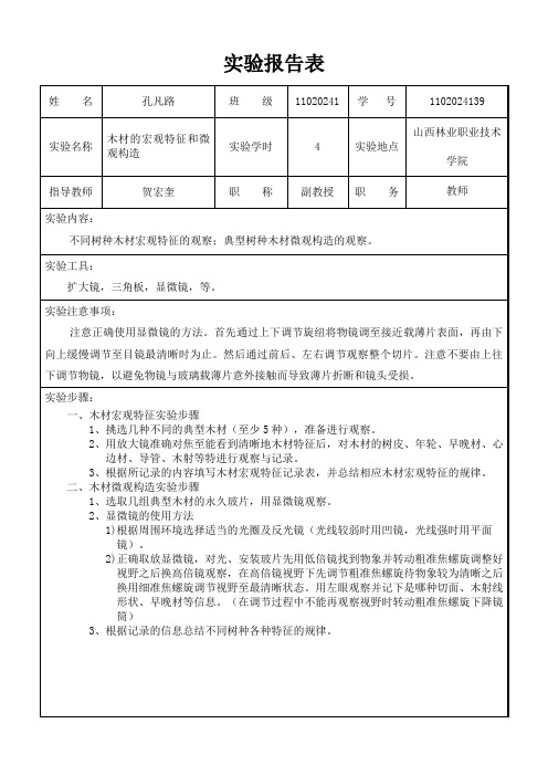 木材微观结构实验报告