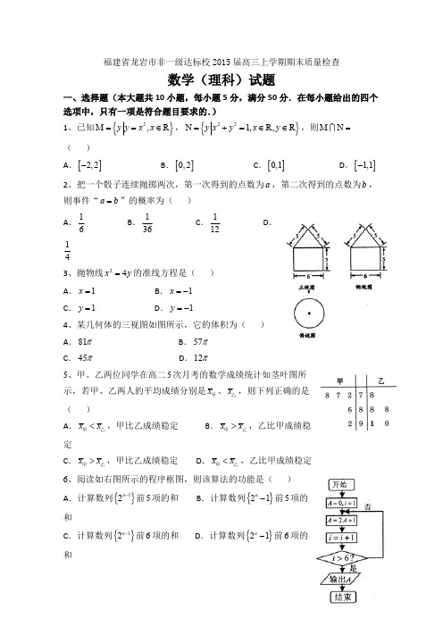 福建省龙岩市非一级达标校2015届高三上学期期末质量检查数学理试题含答案