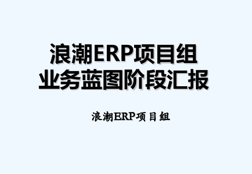 浪潮ERP项目业务蓝图汇报pm