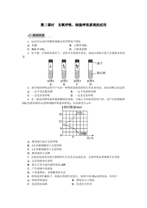 人教课标版高中生物必修1第4章《细胞呼吸无氧呼吸、细胞呼吸原理的应用》同步训练(附答案)(第2课时)