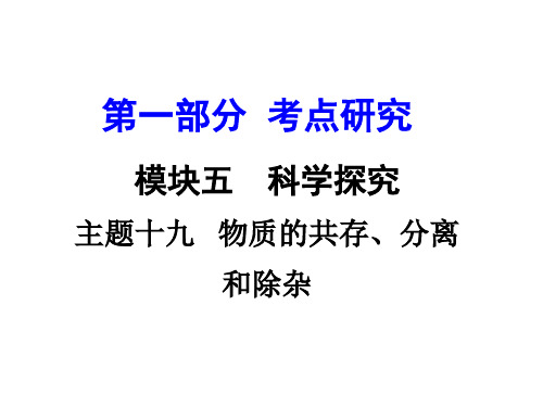 主题十九 物质的共存、分离和除杂