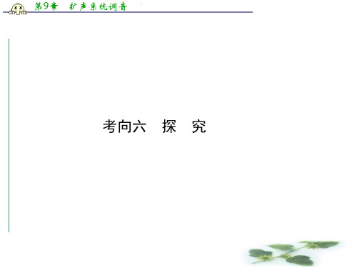 课堂新坐标高考语文一轮复习课件：第四编专题二考向六 探究(广东专用)