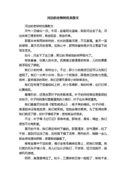 河边的老柳树优美散文