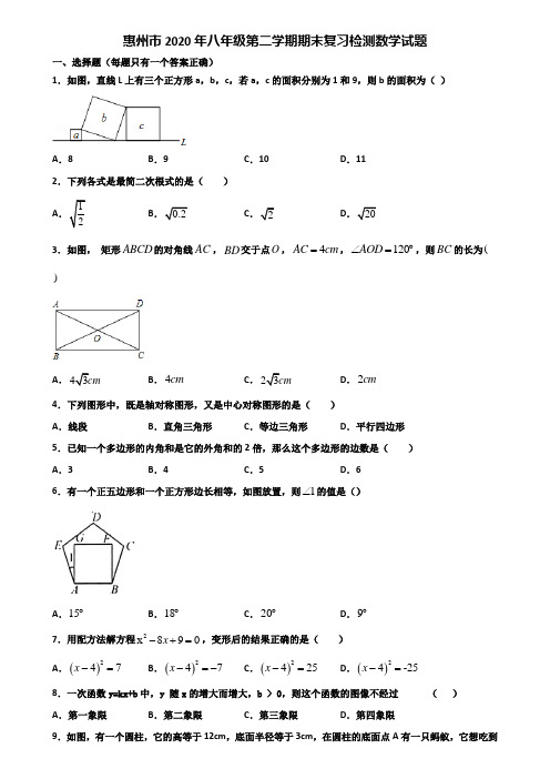 惠州市2020年八年级第二学期期末复习检测数学试题含解析