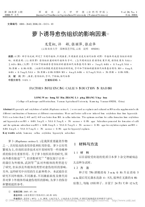 萝卜诱导愈伤组织的影响因素_龙雯虹