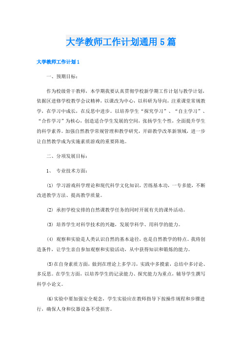 大学教师工作计划通用5篇