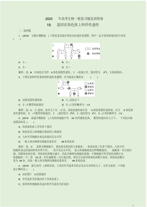 2020年高考生物一轮复习随堂训练卷【19.基因在染色体上和伴性遗传】附答案详析