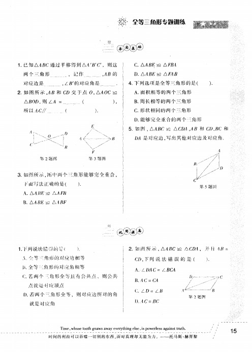 全等三角形专题训练