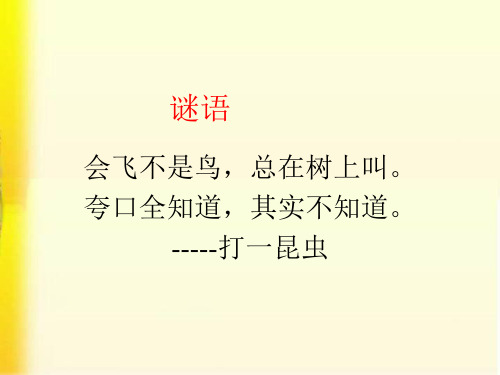 八年级语文法布尔《蝉》优秀课件