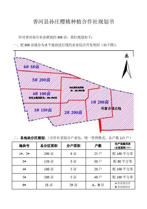 香河县孙庄樱桃种植合作社规划书-0507