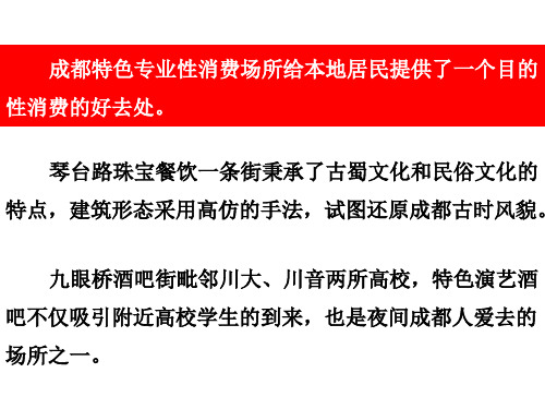 成都考察之琴台路、酒吧街19页PPT文档