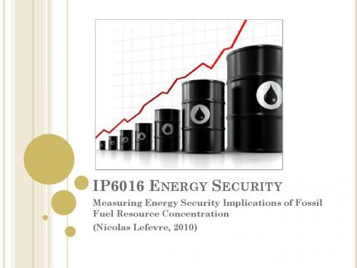 2011年最新(英文)南洋理工大学NTU能源安全战略(Energy Security)教程21共24