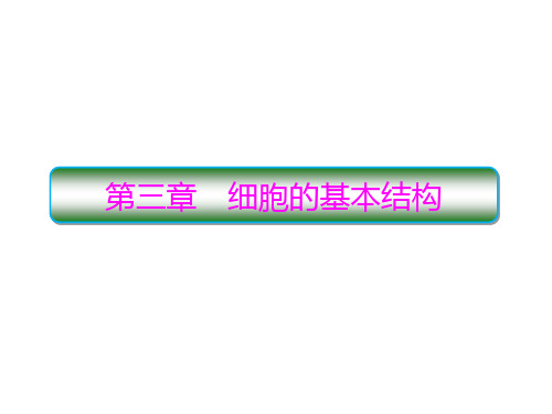 高中生物新人教版必修1细胞膜的结构和功能课件(共63张)