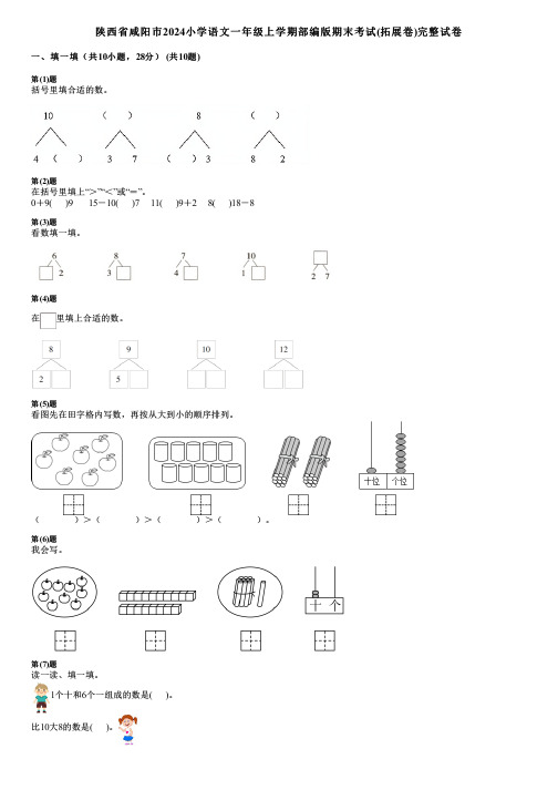 陕西省咸阳市2024小学数学一年级上学期部编版期末考试(拓展卷)完整试卷