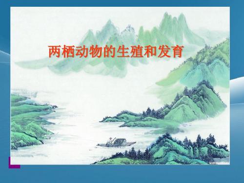 两栖动物的生殖与发育课件