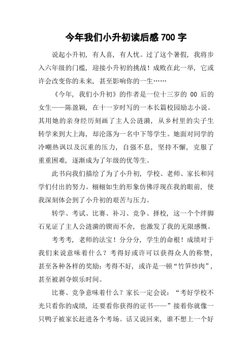 今年我们小升初读后感700字