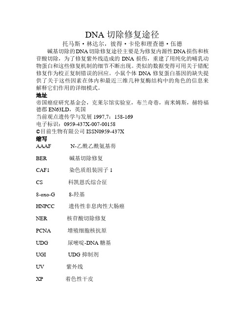 邓嘉祺 2013031104分子生物学