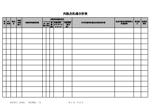 风险及机遇分析表