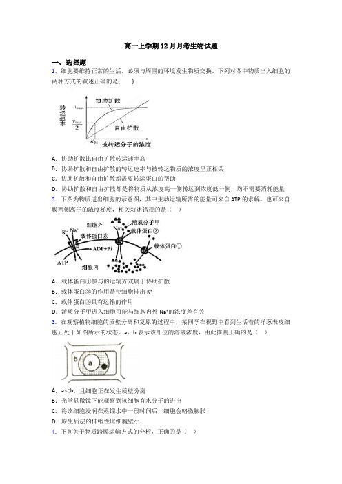 高一上学期12月月考生物试题