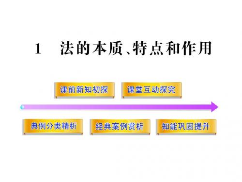 高中政治1.1 法的本质、特点和作用 教学探究名师公开课省级获奖课件(新人教选修5)