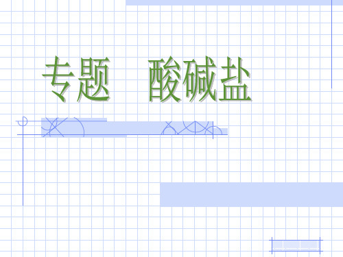 酸碱盐PPT课件