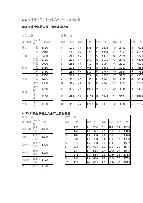 2015年事业单位专业技术人员基本工资标准表