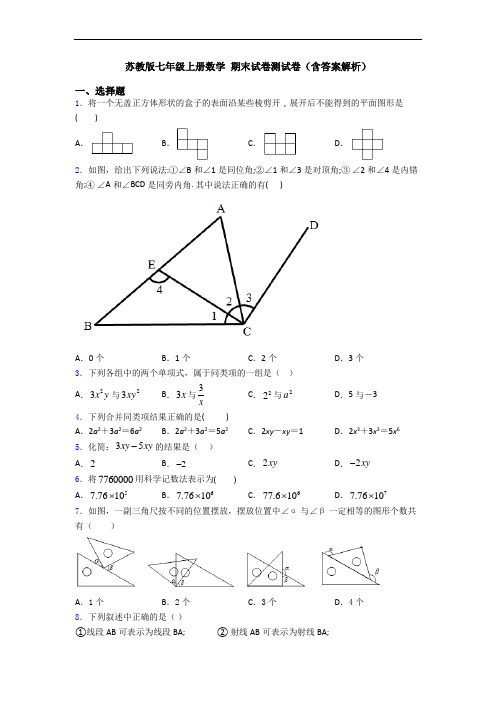 苏教版七年级上册数学 期末试卷测试卷(含答案解析)