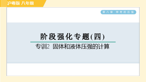 沪粤版八年级下册物理 第8章 专训2 固体和液体压强的计算 习题课件