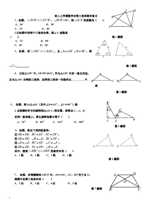 初二上学期数学全等三角形期末复习