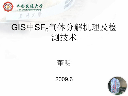 SF6分解物与检测技术