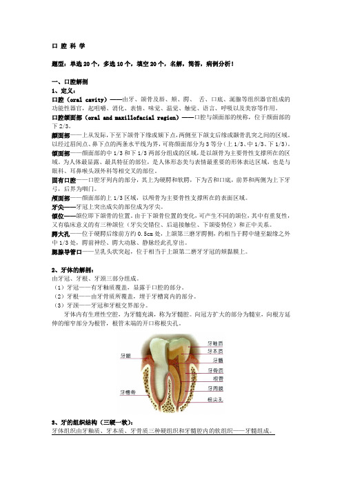 口腔学复习重点