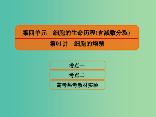 2020高考生物一轮复习 4.1 细胞的增殖课件