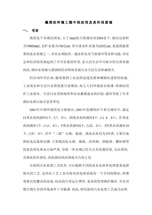 藻类在环境污染治理中的应用及其作用原理