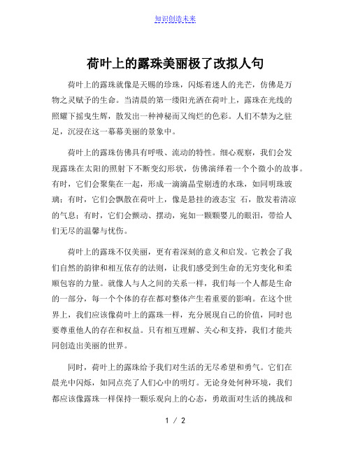 荷叶上的露珠美丽极了改拟人句