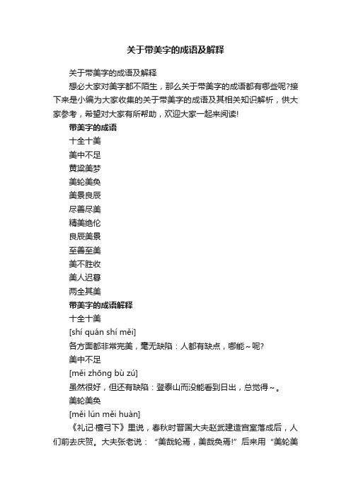 关于带美字的成语及解释